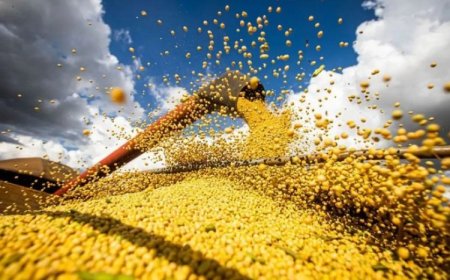 Uberlândia alcança bilhões em exportações