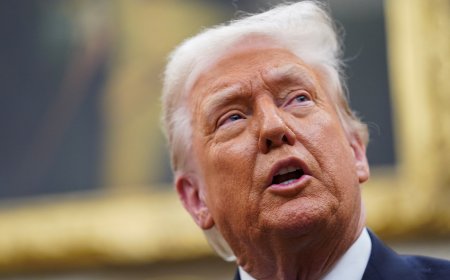 Trump diz que taxas de juros mais baixas andariam de mãos dadas com as tarifas