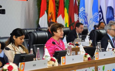 Emergentes precisarão ser ágeis e adaptáveis no futuro, diz Georgieva, do FMI