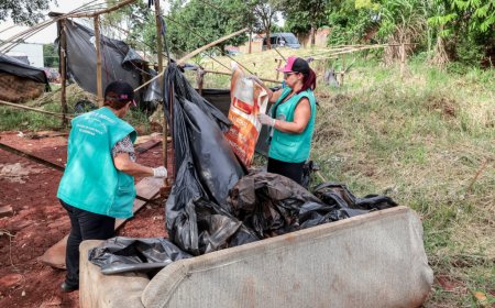 Dia D de Combate à Dengue acontece neste sábado