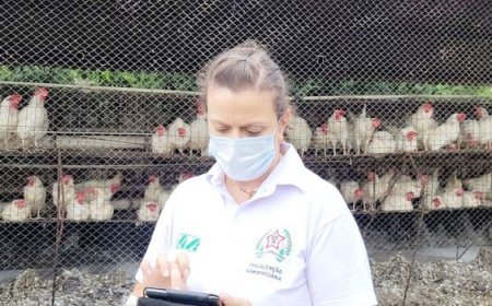 IMA reforça vigilância para proteger avicultura de doenças