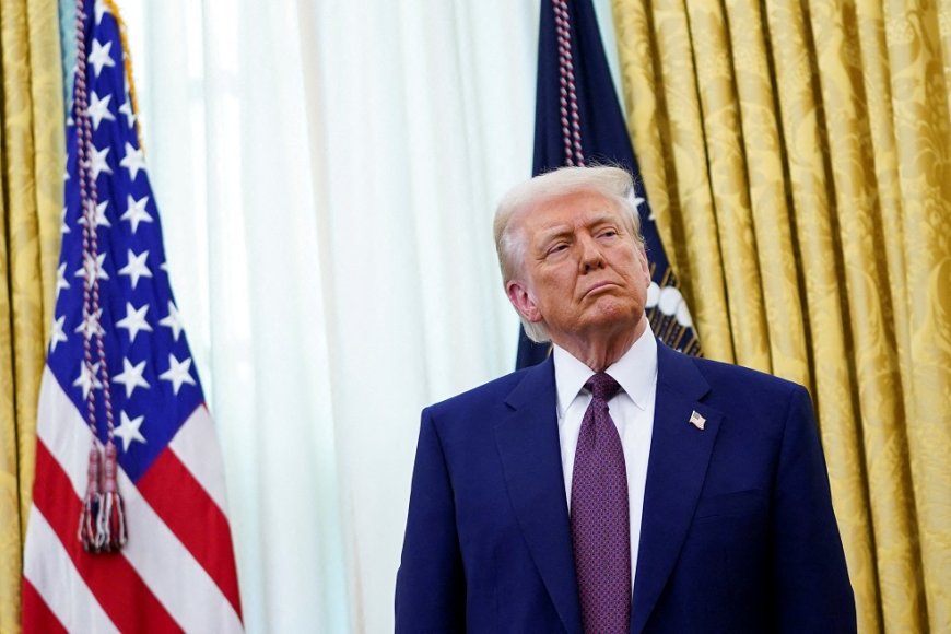 Trump acrescenta madeira à lista de produtos que enfrentarão tarifas