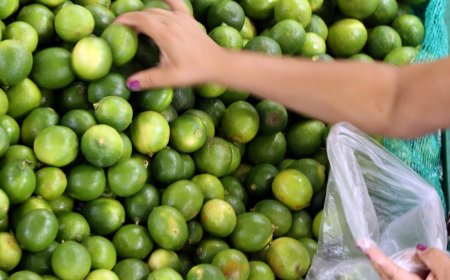Maior compromisso fiscal funcionaria melhor para baixar alimentos, diz Braz, da FGV