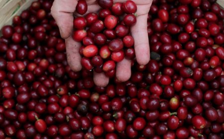 Governo formaliza corte de tarifas de importação de alimentos para frear inflação