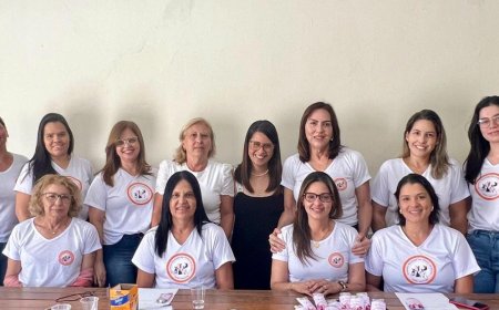 Conselho Municipal dos Direitos da Mulher atuando em defesa e proteção da mulher araxaense