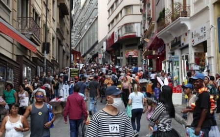 Estado de São Paulo já é quase totalmente urbano e população rural ficou mais velha