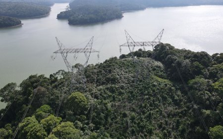 Houve pedido para pequenas alterações de datas em leilões deste ano, diz Aneel