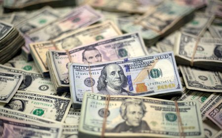 Câmbio flutuante dá ‘tranquilidade’ a gerenciamento de reservas, afirma diretor do BC