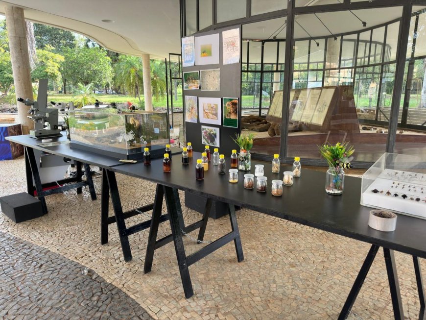 Programa itinerante Ciência em Movimento com exposição e palestras gratuitas movimenta Araxá