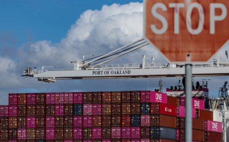 Análise: Tarifas de Trump deixam parceiros comerciais dos EUA sem onde se esconder