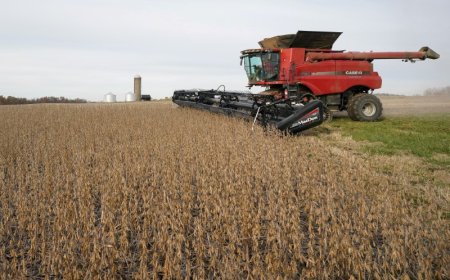 Como a China reduziu dependência agrícola dos EUA e melhorou arsenal comercial