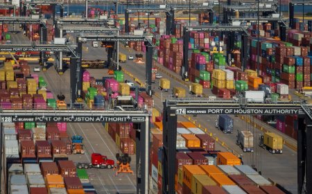 Guerra comercial pode reduzir PIB alemão em mais de 1%, diz instituto econômico