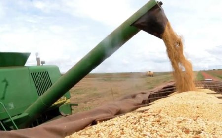 China e EUA terão que negociar e agro brasileiro pode sair perdendo, diz especialista