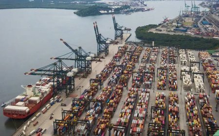 Centro-Oeste ganha, mas SP e MG podem perder bilhões com guerra comercial, diz estudo