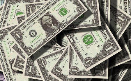 Os benefícios e desafios de investir em dólar: um guia completo para brasileiros