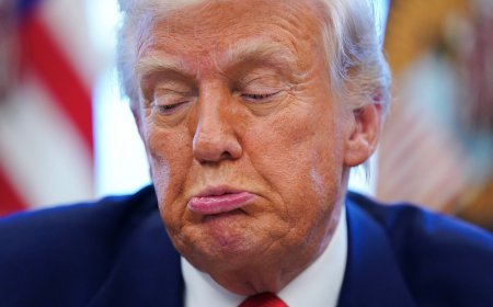 Trump diz poder facilitar permissão de imigrantes que trabalham em fazendas e hotéis