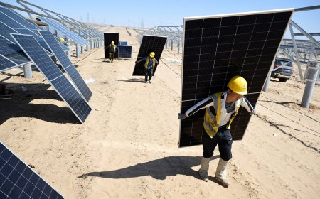 EUA anunciam tarifas de até 3.500% sobre painéis solares do Sudeste Asiático