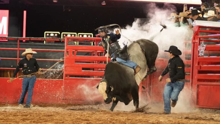 Touro Reza a Lenda marca rodeio PBR na Expoaraxá
