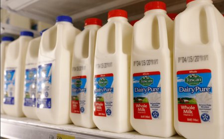 Preços mundiais de alimentos aumentam em abril, aponta FAO