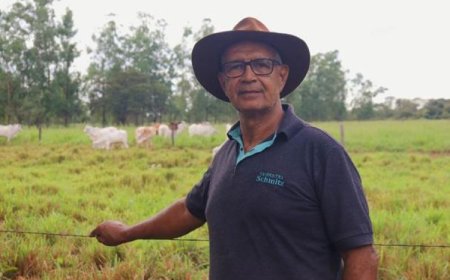 Pecuaristas do Norte de Minas investem em leilões