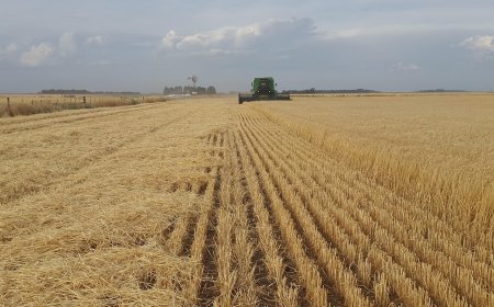 CNA crê em acordo entre EUA e China, fala em cautela para agro do Brasil