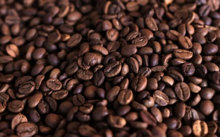 Queda na safra de café do Brasil não justifica máximas de US$ 4, há especulação