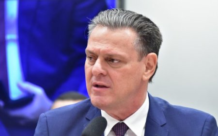 Exportações de carne de frango do Brasil para UE estão suspensas, informa Fávaro
