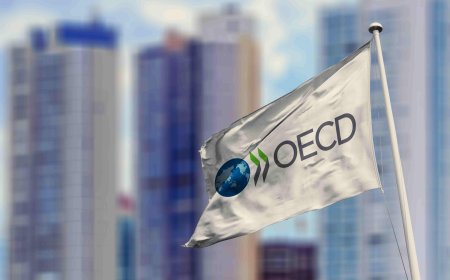 Comércio de bens do G20 cresce no 1º tri, mas serviços seguem irregulares, diz OCDE