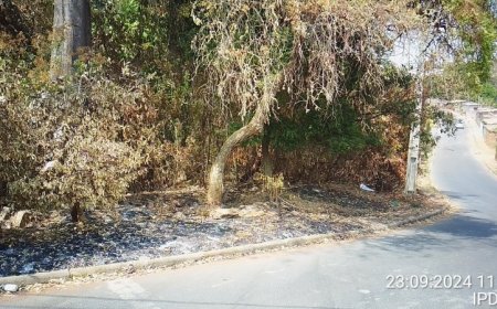 IPDSA intensifica fiscalização em terrenos baldios