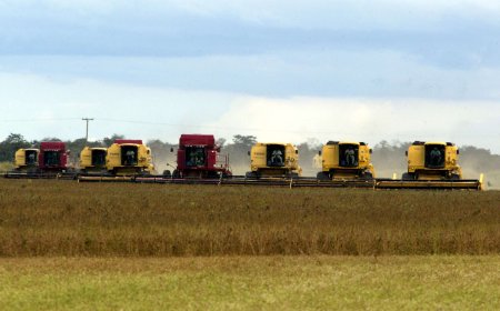 PIB do 1º trimestre deve superar estimativas iniciais. E não só pela safra agrícola