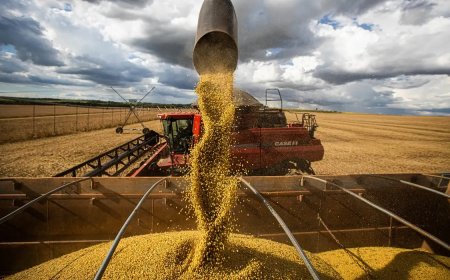 PIB do Brasil cresce 1,4% no 1º trimestre, impulsionado pelo agro