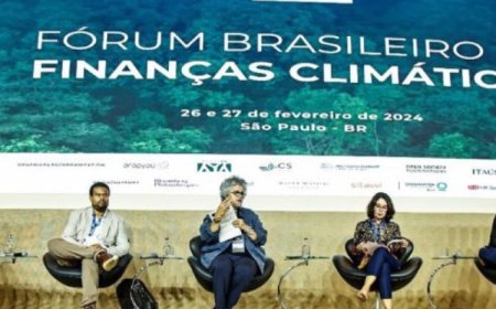 Brasil propõe novo modelo de financiamento climático com foco em justiça social e sustentabilidade