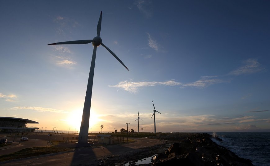 Expansão da capacidade eólica desacelera; fonte alcança 33,7 GW, aponta Abeeólica