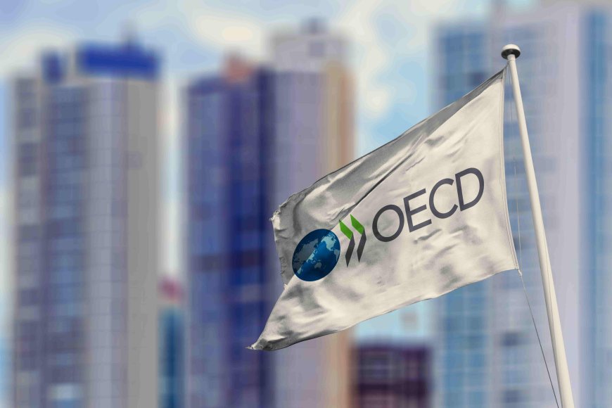 Comércio de bens do G20 cresce no 1º tri, mas serviços seguem irregulares, diz OCDE