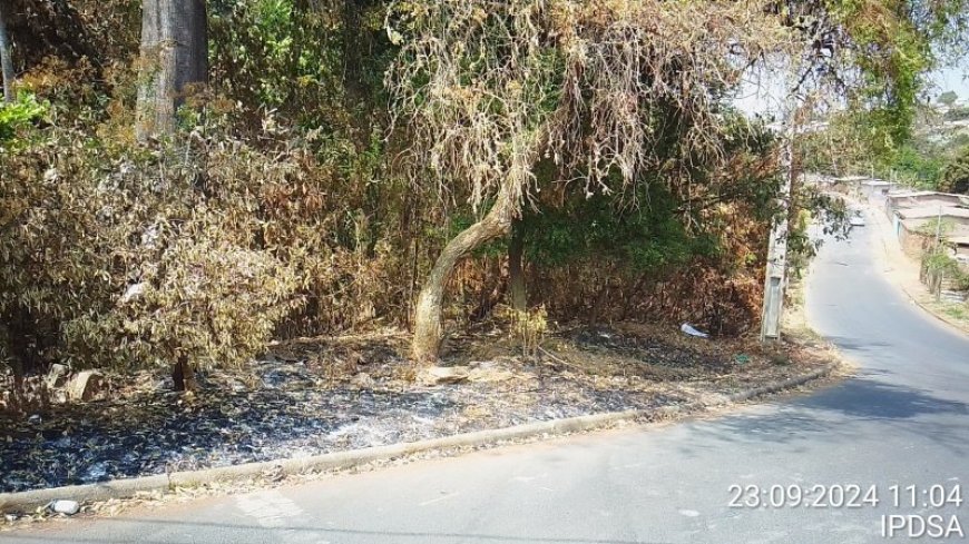IPDSA intensifica fiscalização em terrenos baldios