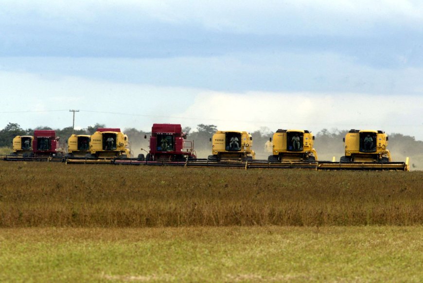 PIB do 1º trimestre deve superar estimativas iniciais. E não só pela safra agrícola