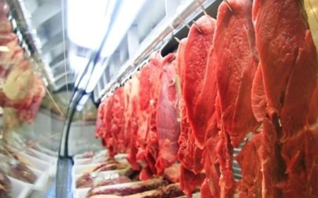Carne pesa na cesta de Uberlândia
