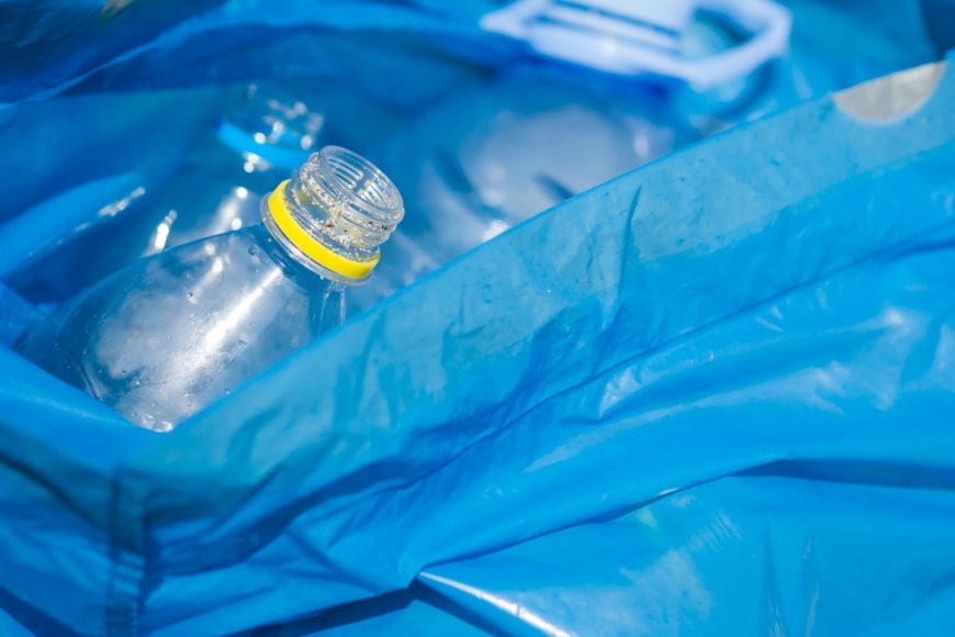 Projeto de coleta seletiva nas escolas envolve alunos na reciclagem