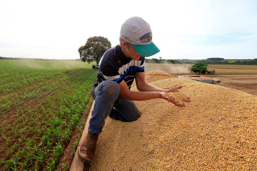 Queda dos preços ao produtor no Brasil perde força em abril com alta de alimentos