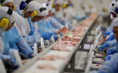 7 países retiram restrições à exportação de carne de aves do Brasil, diz Agricultura