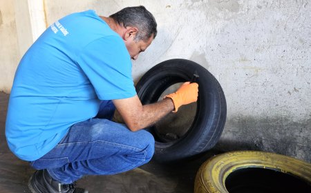 Araxá já registrou 2.455 casos de dengue e alerta para circulação dos subtipos 2 e 3