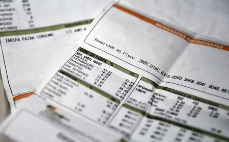 Consumidor pagará R$ 46,8 bilhões em subsídios na conta de luz em 2025, afirma Aneel