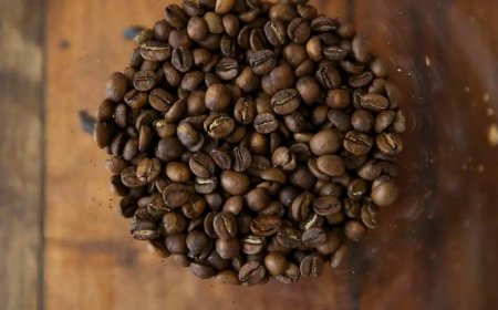 Como tarifaço pode prejudicar exportações brasileiras de suco, café, carne e frutas