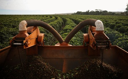 Mudanças climáticas afetam preços dos alimentos em nível global, mostra estudo