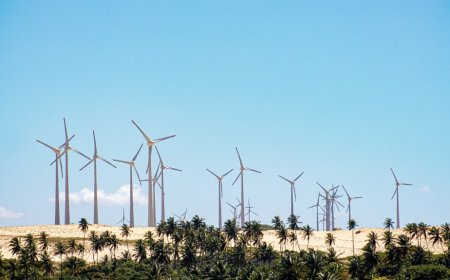 Gerar energia eólica no Brasil é mais barato que a média global