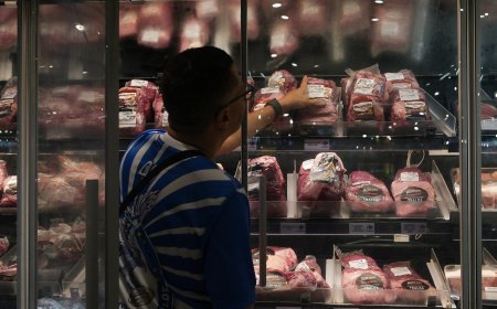 Exportações de carne brasileira para os EUA desabam em três meses, antes de tarifas