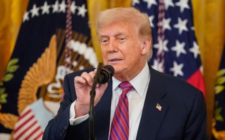 “Vamos ter tarifa de 15% a 50%”, diz Trump, sugerindo aplicar taxa máxima ao Brasil