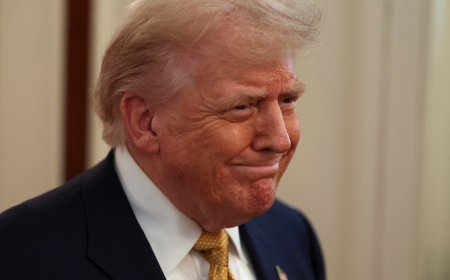 Tarifas de Trump causam estragos no cinturão citrícola do Brasil
