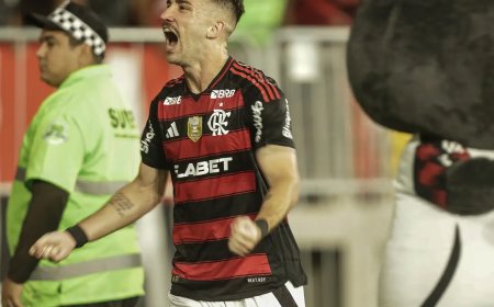 Flamengo vence o Galo e é o novo líder do Campeonato Brasileiro