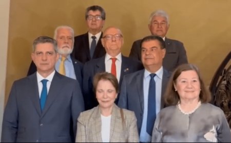 “Queremos abrir um canal de diálogo”, diz líder de missão oficial do Senado nos EUA